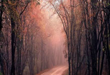 亚星：[天下足球]拜仁主场爆冷不敌波鸿.