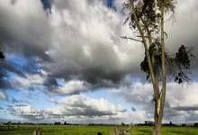 亚星：女排世锦赛赛程公布 中国女排首战墨西哥央视体育.