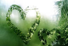 亚星：火箭第二节狂轰46分&单节领先21分 太阳整个半场只有49分.