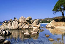 巴塞罗那轻取拉斯帕尔马斯 重登西甲榜首.